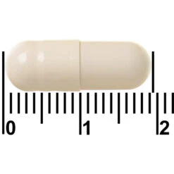 Ymea Overgang Silhouet -Plein Winkel 1002789 4