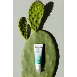 Weleda Ooggel Vijgencactus Hydraterend -Plein Winkel 1011832 3