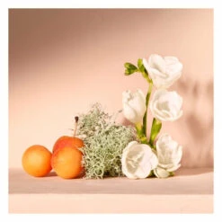 Chloé Chloe Nomade Eau De Parfum Spray -Plein Winkel 1012951 4