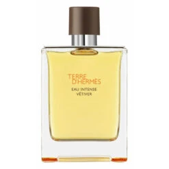 Hermès Hermes Terre Du0027Hermes Eau Intense Vetiver Pray Eau De Parfum Spray