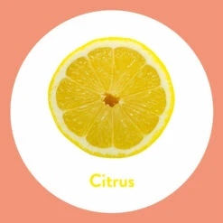 6x Dettol Handzeep Antibacterieel Navulling Citrus -Plein Winkel 1014569 4