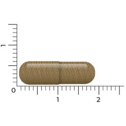 Vitakruid Q10 Ubiquinol 100 Mg -Plein Winkel 1023955 5