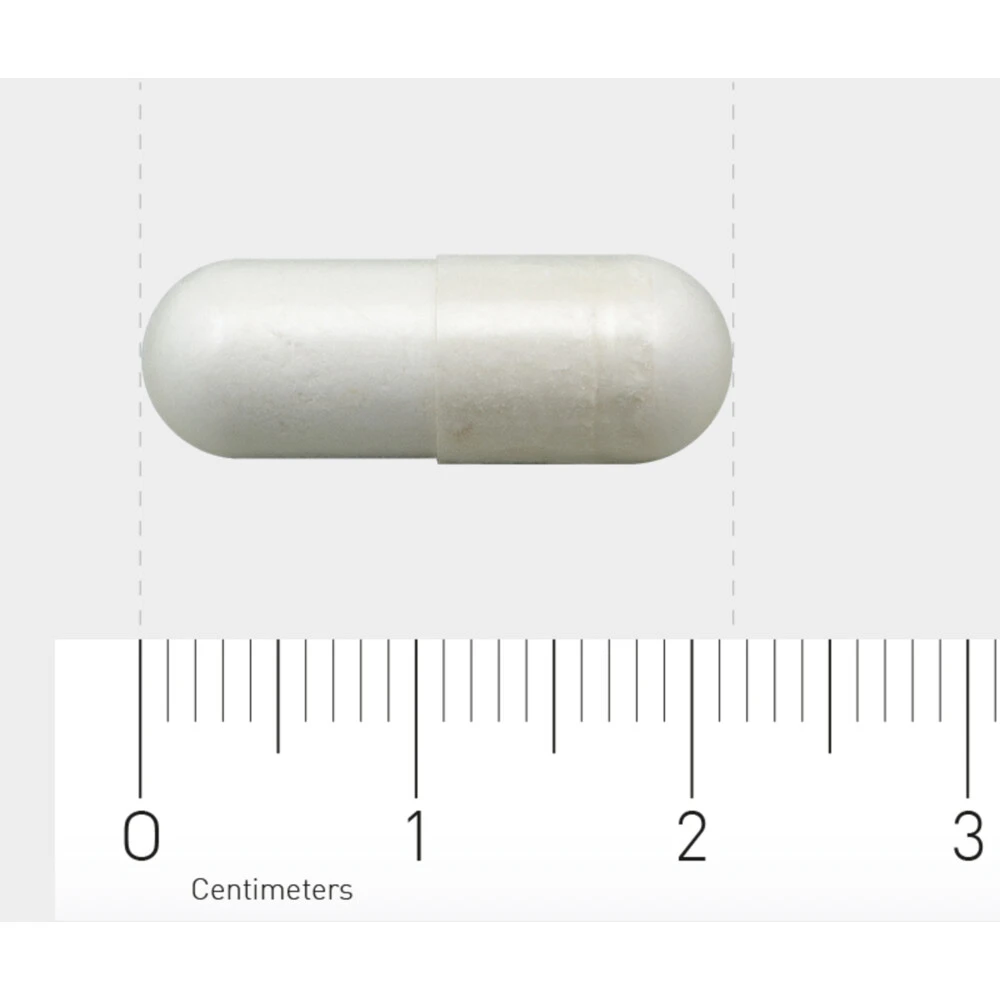 AOV 604 L-Carnosine (250 Mg) 4 AOV 604 L-Carnosine (250 Mg) - Afbeelding 4