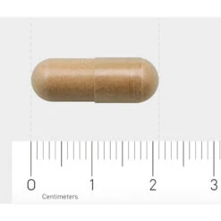 AOV 828 Salvia-extract -Plein Winkel 1029464 4