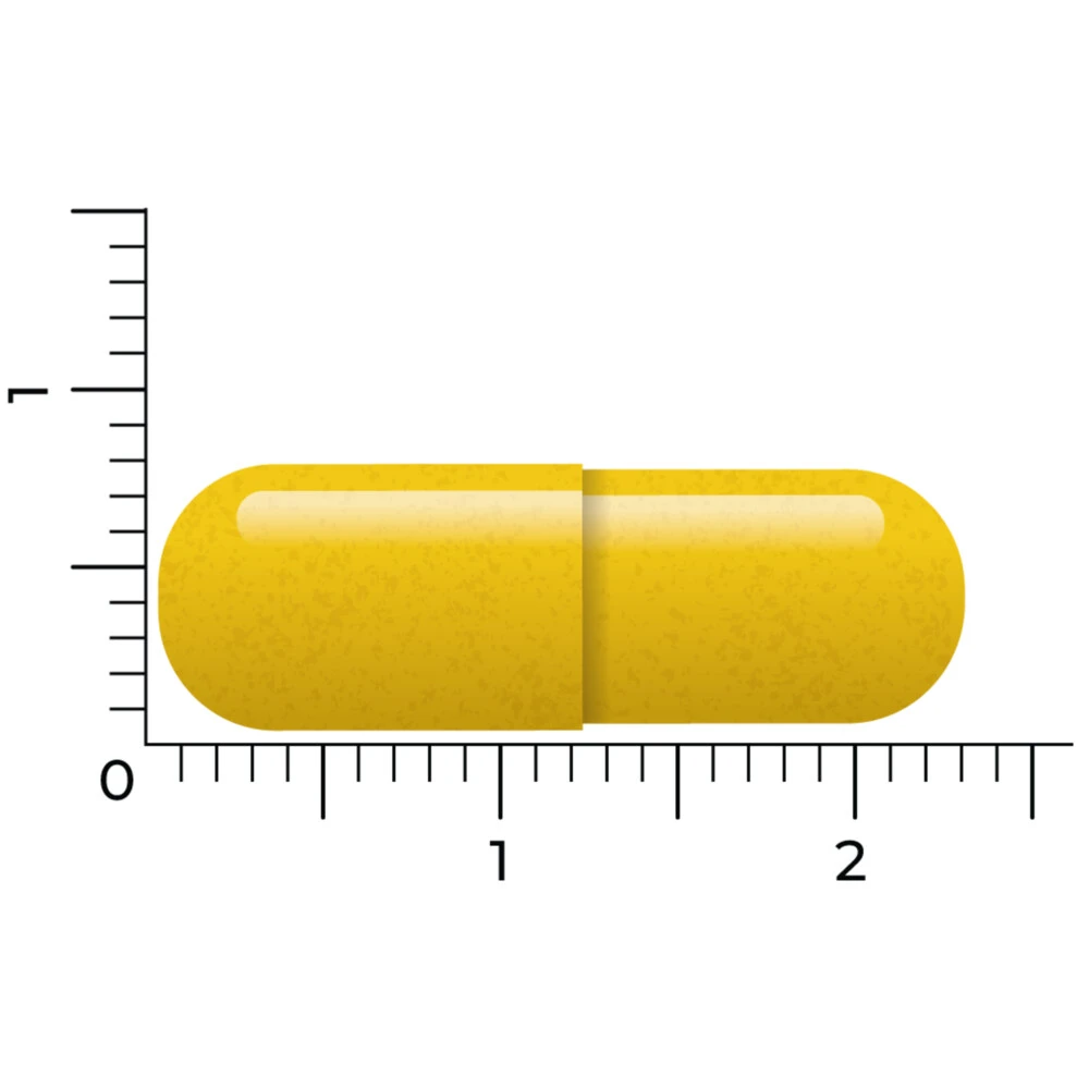 Vitakruid Berberine 500 Rebersa 4 Vitakruid Berberine 500 Rebersa - Afbeelding 4