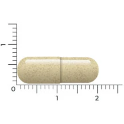 Vitakruid Vitex Agnus Castus -Plein Winkel 1032176 4