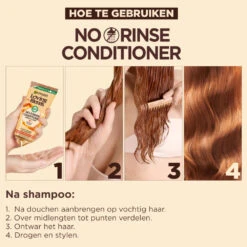 6x Garnier Loving Blends No Rinse Conditioner Argan & Camelia -Plein Winkel 1035541 3