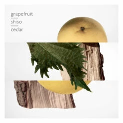 Hermès Hermes Terre Du0027Hermes Eau De Parfum -Plein Winkel 1046698 4