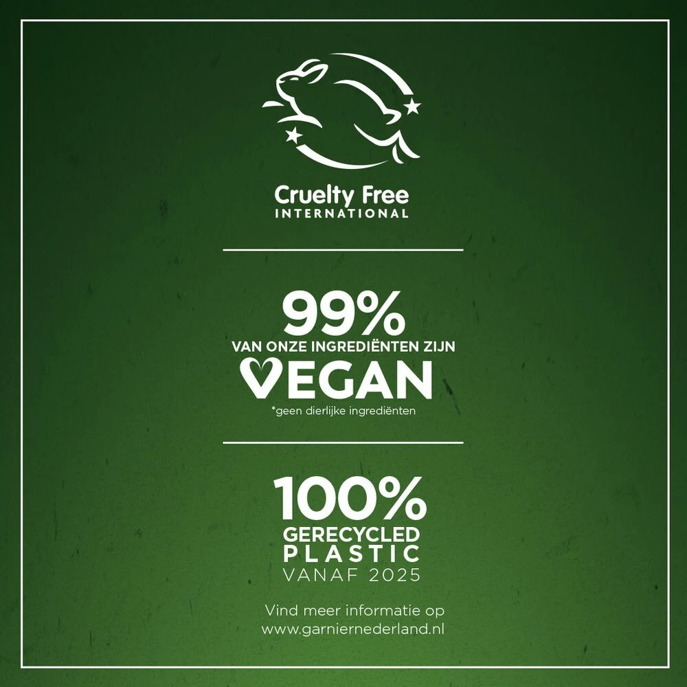 6x Garnier Loving Blends Conditioner Gember Boost 3 6x Garnier Loving Blends Conditioner Gember Boost - Afbeelding 3