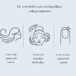 Premium Collageen Hydrolysaat Poeder Met Vitamine C Aardbeismaak -Plein Winkel 1055227 4