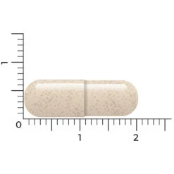 Vitakruid Ashwagandha Ksm -Plein Winkel 1057979 5