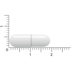 Vitakruid Lactase Optiferm 3000 Fcc -Plein Winkel 1058191 5