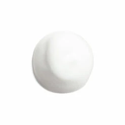 Shiseido Complete Cleansing Microfoam -Plein Winkel 1072524 3