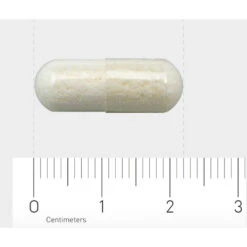 Orthica Orthiflor Basic -Plein Winkel 706025 4