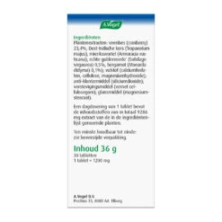 2x A.Vogel Cranberry Monarda -Plein Winkel 925199 5 1