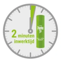 Plein Winkel -Plein Winkel 947499 2