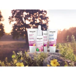 Weleda Nachtcrème Evening Primrose -Plein Winkel 974002 4