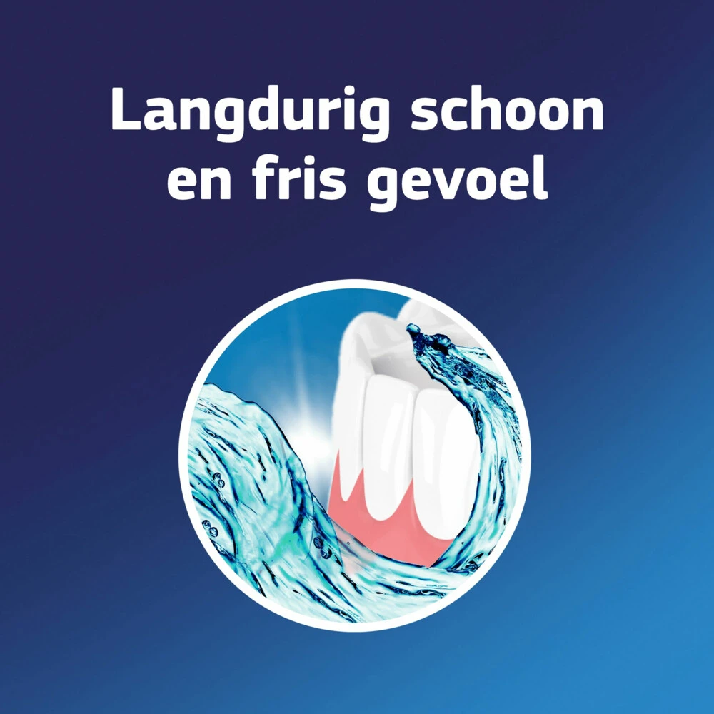 6x Fixodent Reinigingstabletten Complete Care 4 6x Fixodent Reinigingstabletten Complete Care - Afbeelding 4